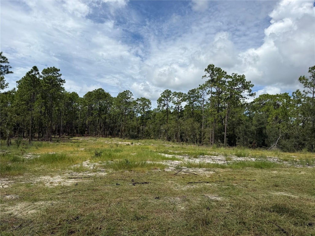 Photo of 0000 SE 139th Court, Dunnellon, FL 34431 (MLS # S5160095)