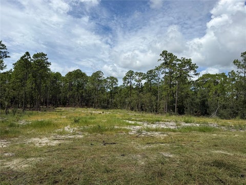 Tiny photo for 0000 SE 139th Court, Dunnellon, FL 34431 (MLS # S5160095)