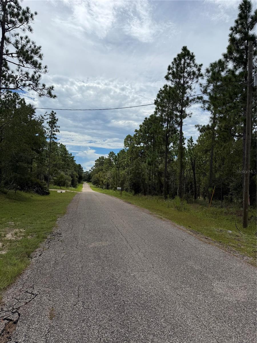Photo of 0000 SE 139th Court, Dunnellon, FL 34431 (MLS # S5160095)