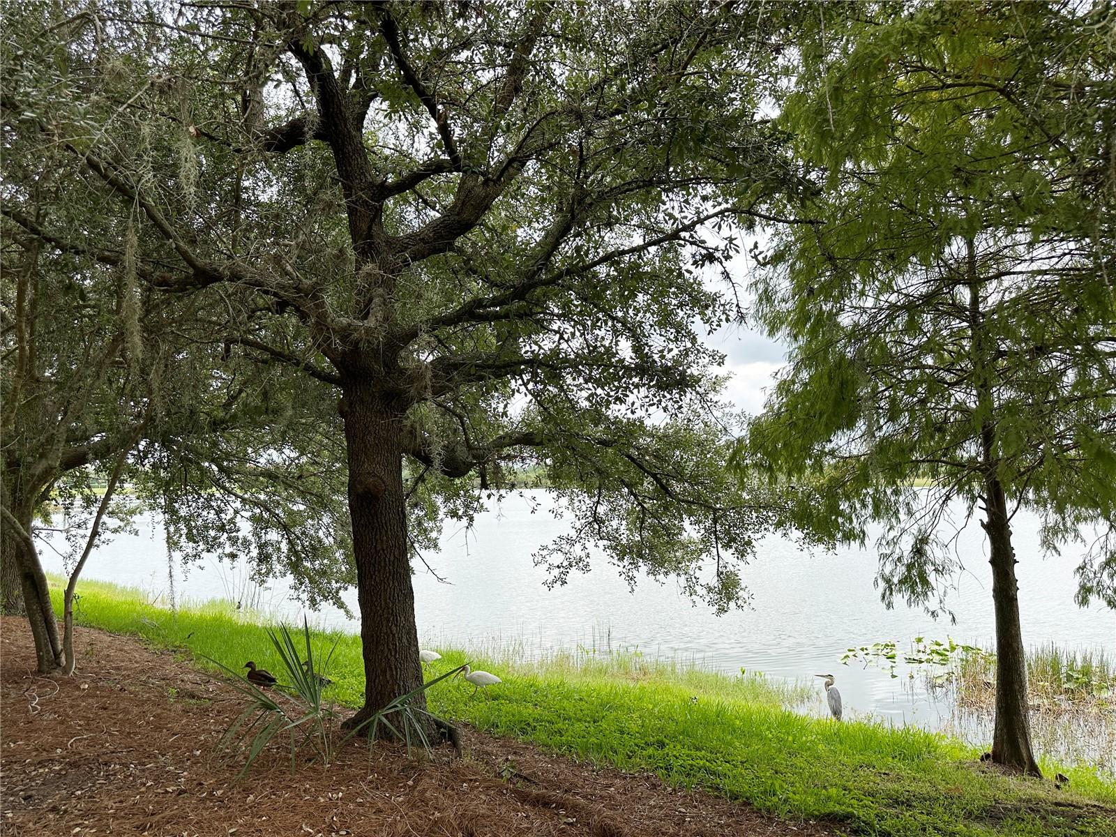 VISTA CAY/HARBOR SQUARE PH 6 - Residential