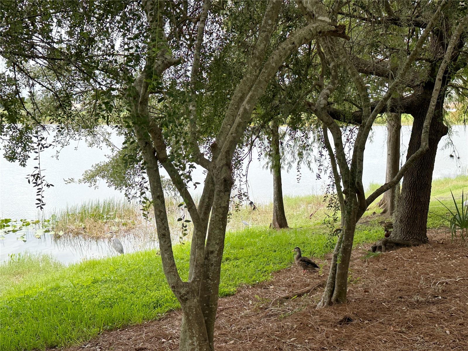 VISTA CAY/HARBOR SQUARE PH 6 - Residential