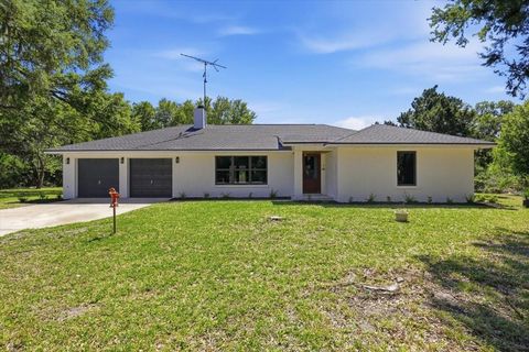 Photo of 20805 SE 162nd Avenue, Hawthorne, FL 32640 (MLS # TB8484669)