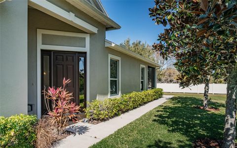 A home in LAND O LAKES