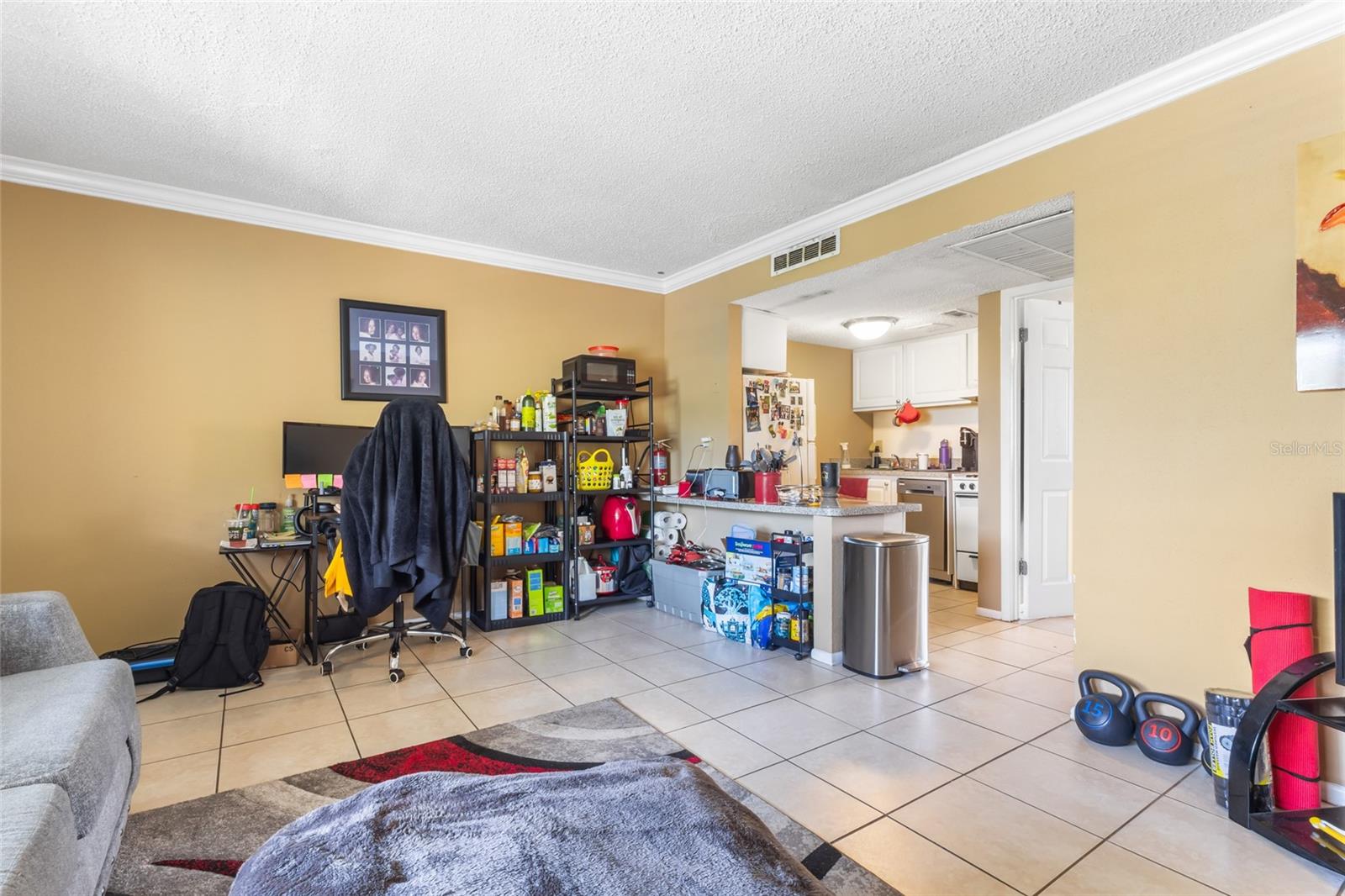 WATERSIDE AT CRANES ROOST A CONDO COMMUNITY - Residential