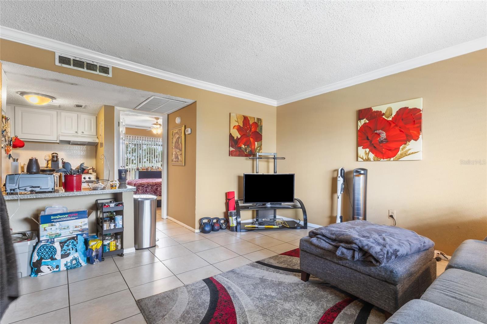 WATERSIDE AT CRANES ROOST A CONDO COMMUNITY - Residential