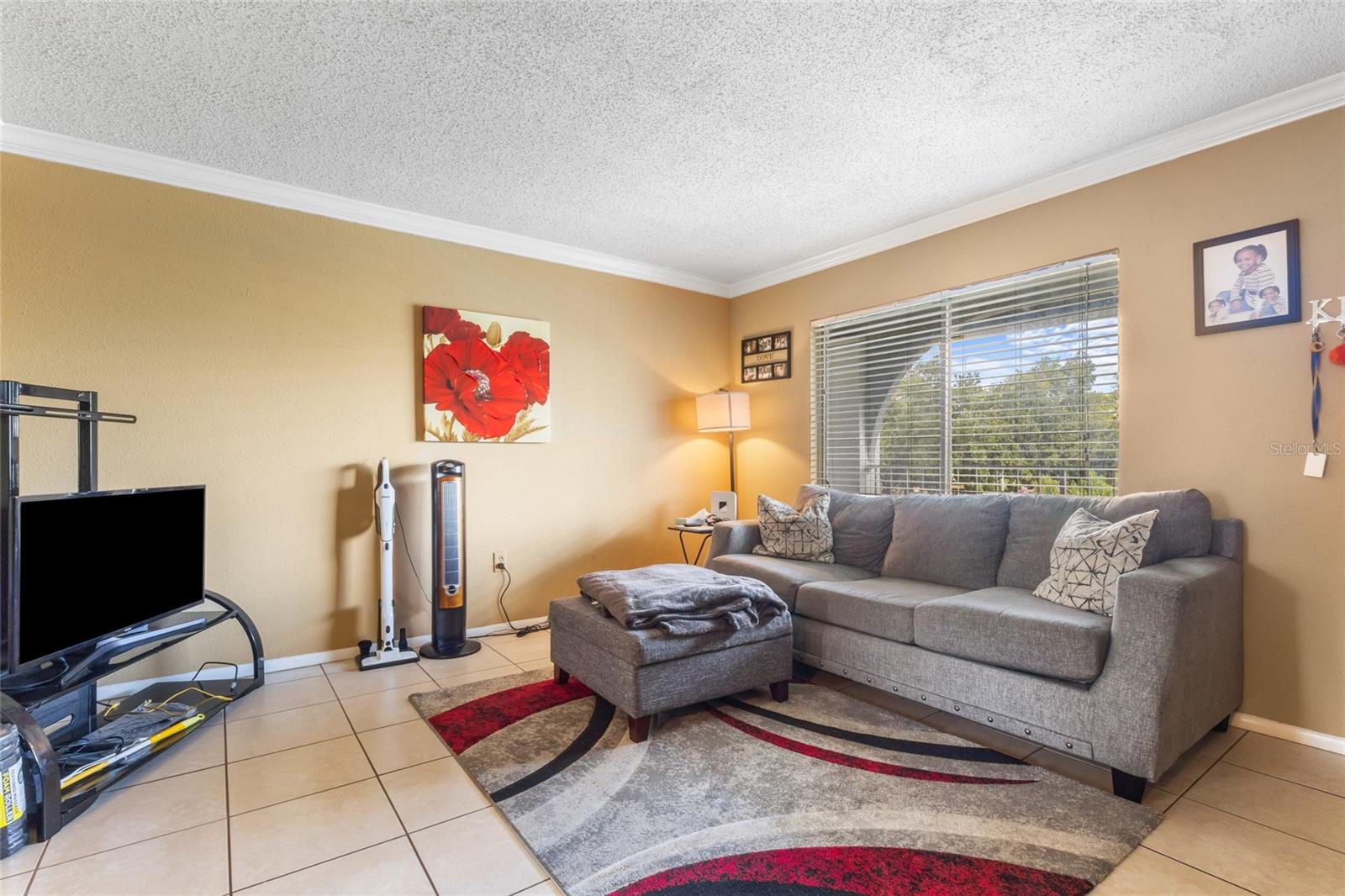 WATERSIDE AT CRANES ROOST A CONDO COMMUNITY - Residential