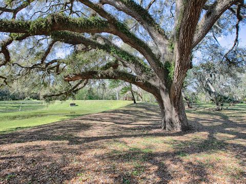 A home in MOUNT DORA