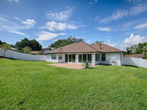 A home in MOUNT DORA