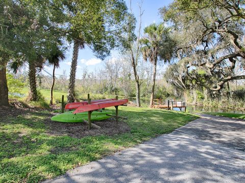 A home in MOUNT DORA