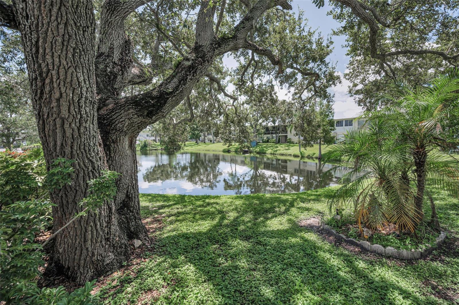 CLEARVIEW OAKS BLDG 16 - Residential