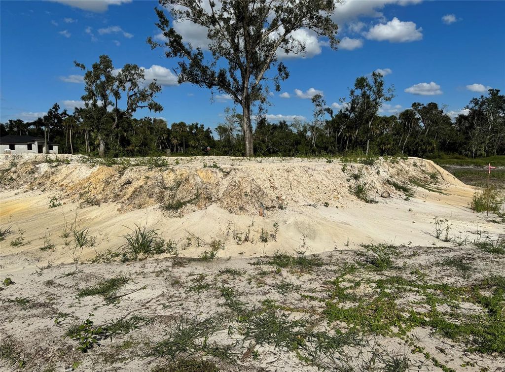 Photo of 170 Cayuga Street, Port Charlotte, FL 33954 (MLS # C7506376)