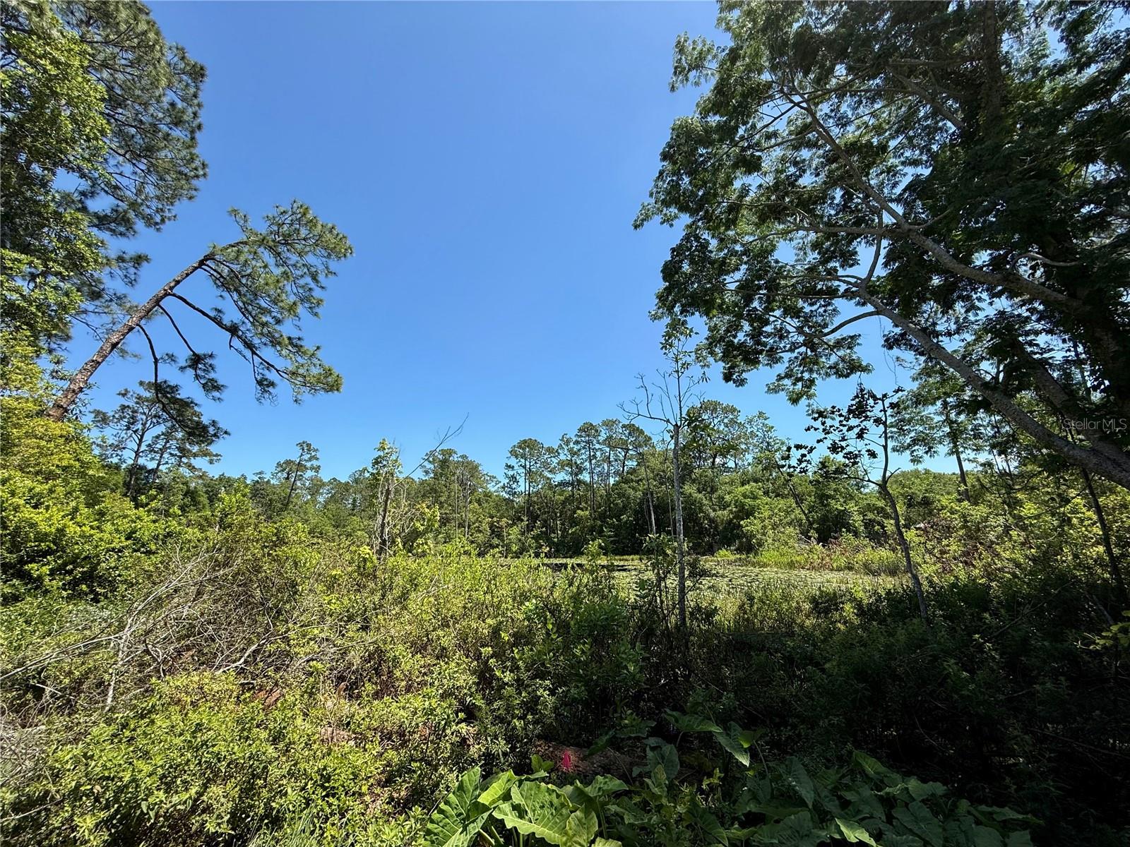 BLUE LAKE RIDGE - Residential