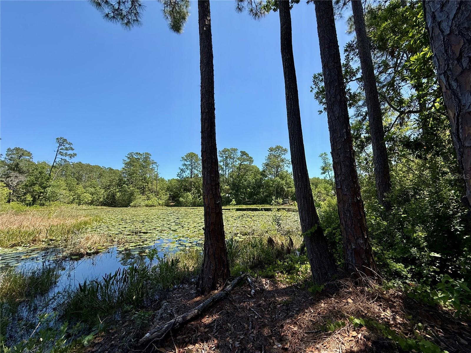 BLUE LAKE RIDGE - Residential