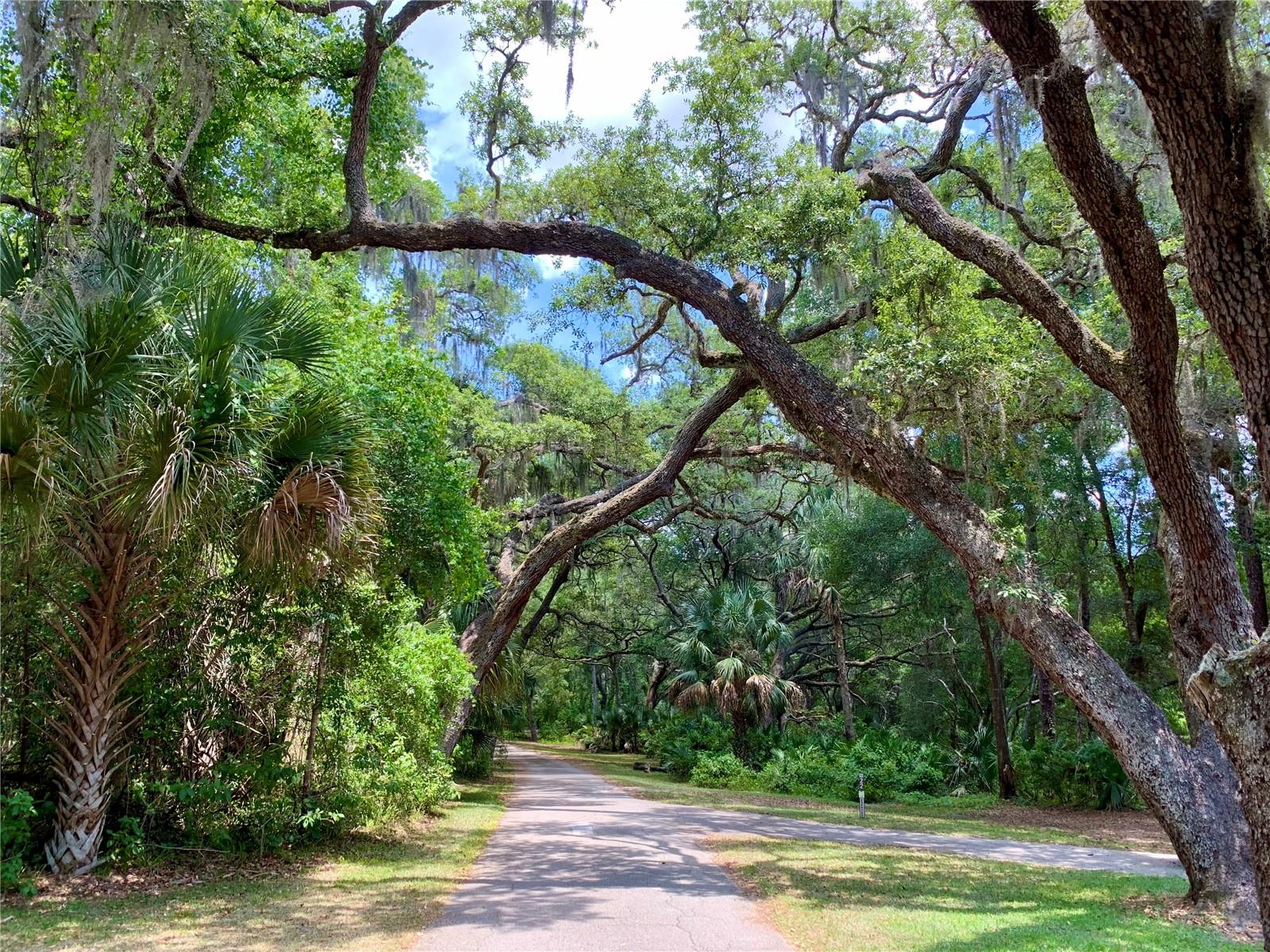 BLUE LAKE RIDGE - Residential