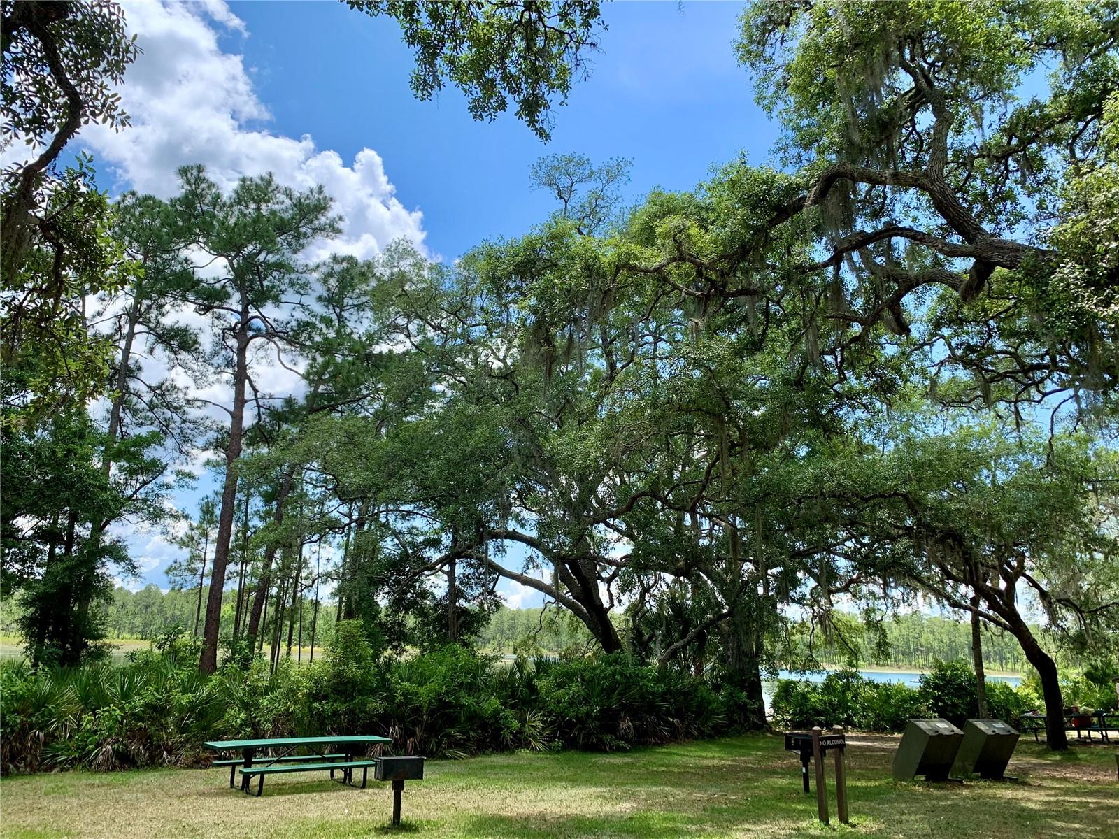 BLUE LAKE RIDGE - Residential