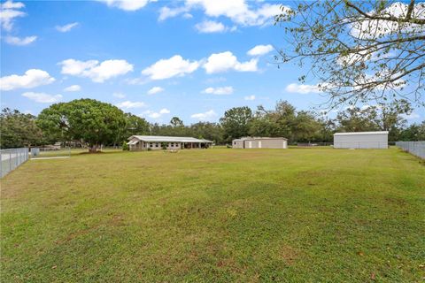 A home in ZEPHYRHILLS