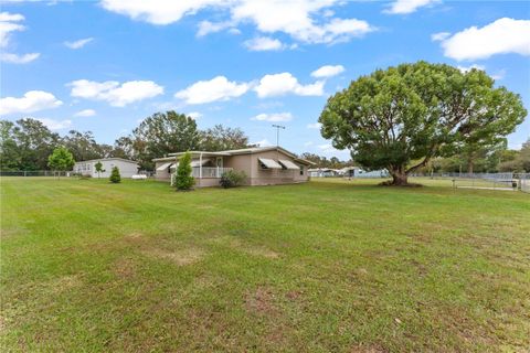 A home in ZEPHYRHILLS