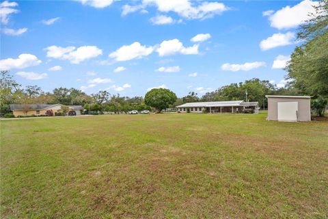 A home in ZEPHYRHILLS