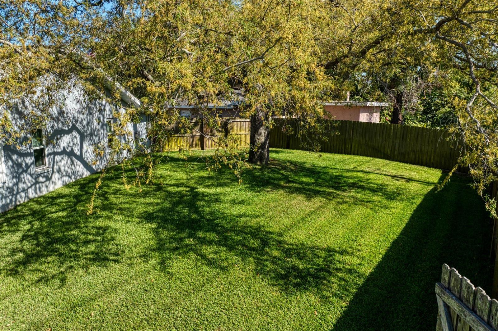 PINE TREE VILLAGE - Residential