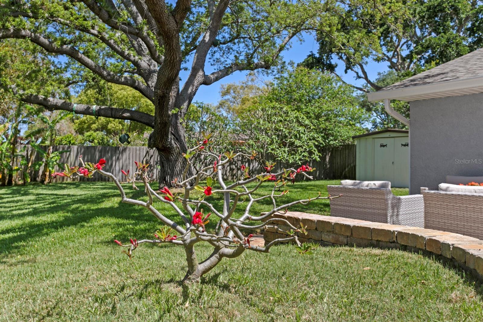 PINE TREE VILLAGE - Residential