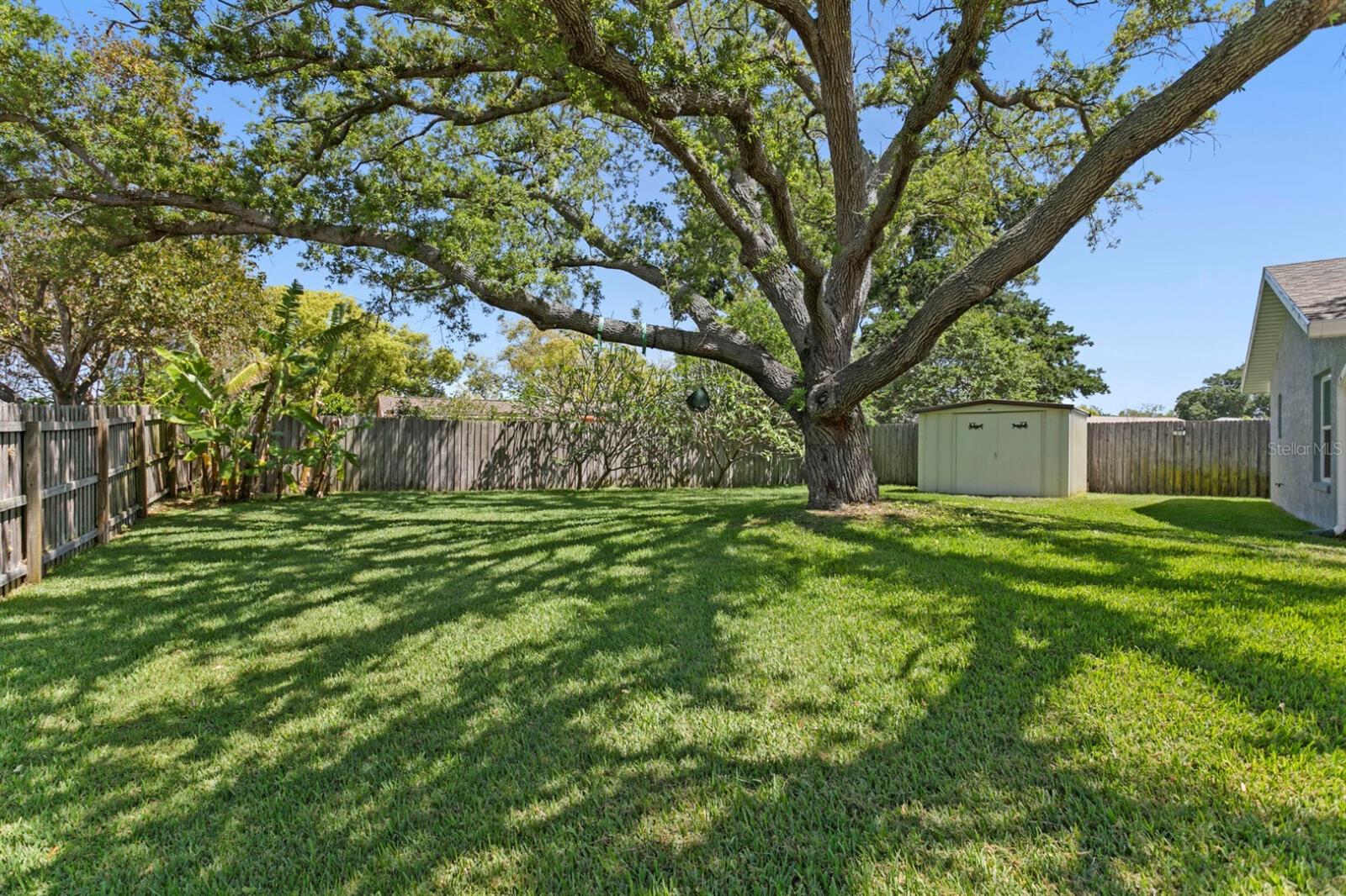 PINE TREE VILLAGE - Residential