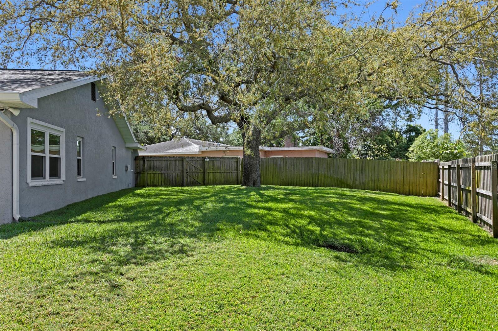 PINE TREE VILLAGE - Residential