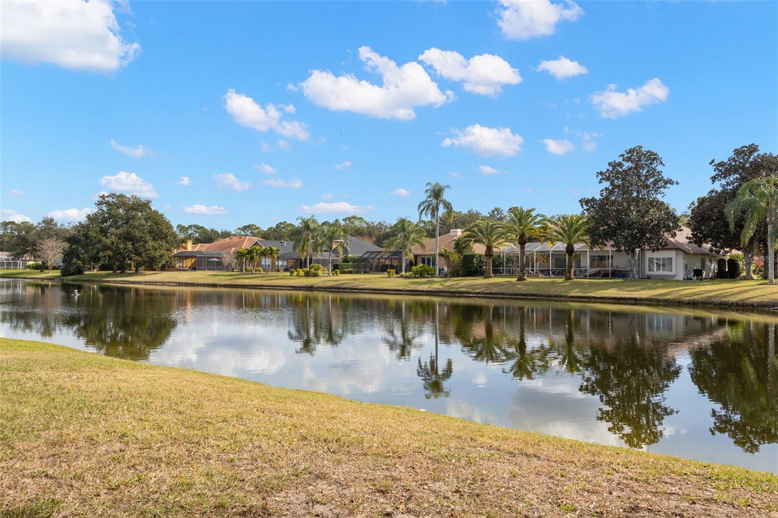 MYRTLE POINT PH 1 - Residential