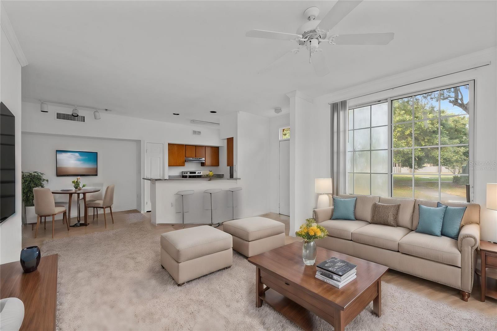 10590 WINDSOR LAKE COURT 0