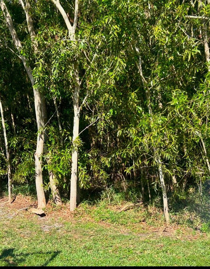 Discover your dream location in beautiful Port St. Lucie! Nestled in a serene cul-de-sac, this prime lot offers unparalleled privacy and a peaceful environment to build your custom home. With easy access to local amenities, parks, and top-rated schools, you’ll enjoy a perfect blend of convenience and tranquility. Don’t miss this exceptional opportunity to create your perfect sanctuary in a thriving community!