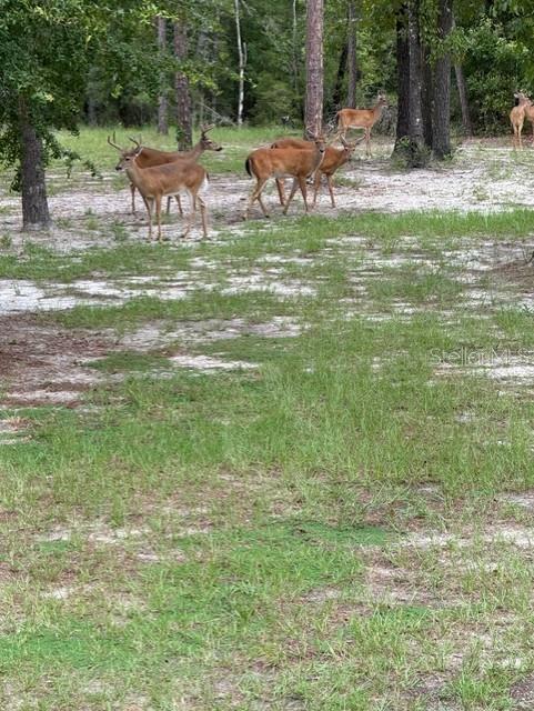 NOT IN SUBDIVISION - Residential