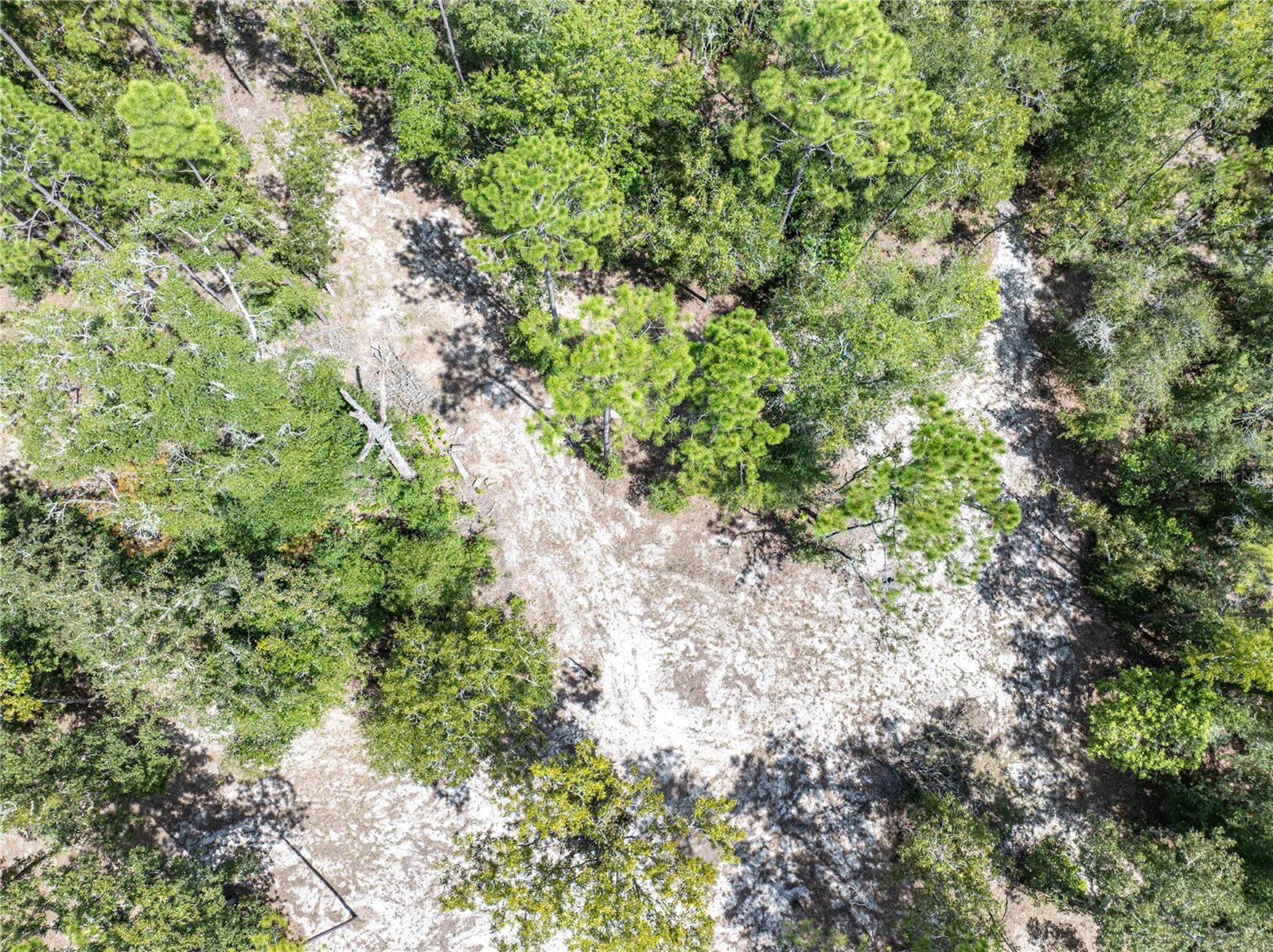 NOT IN SUBDIVISION - Residential