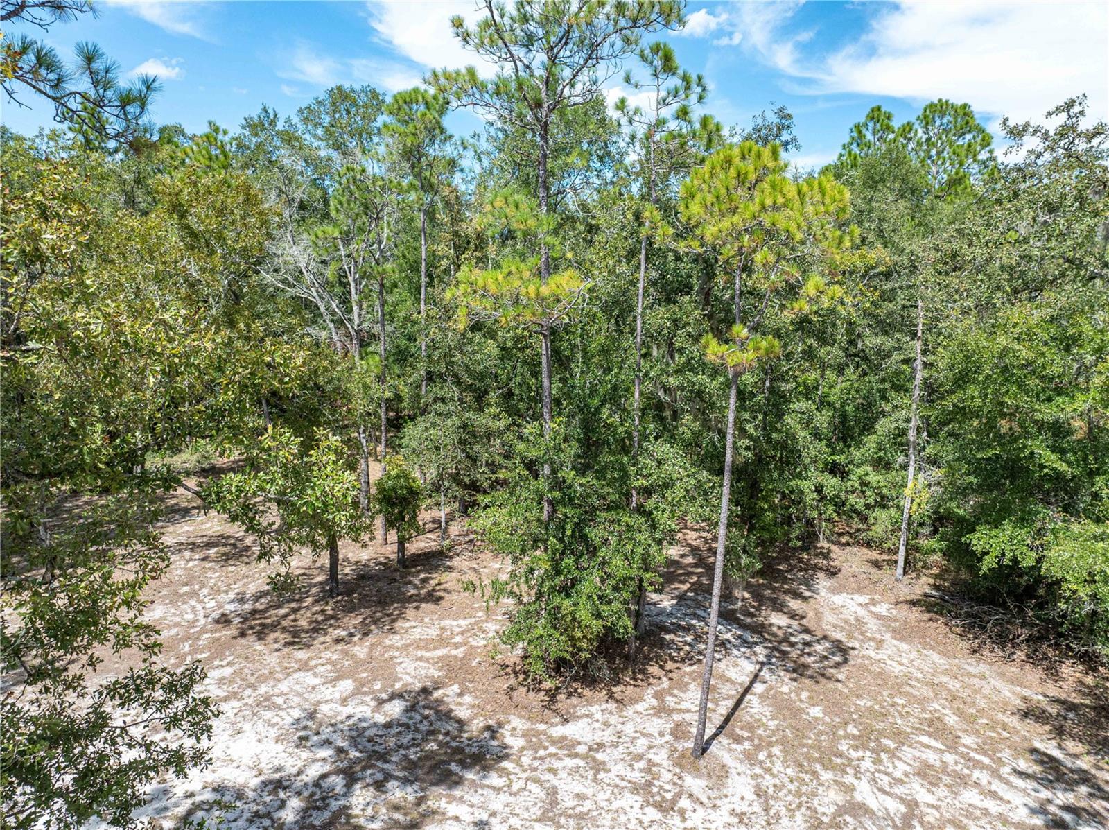 NOT IN SUBDIVISION - Residential