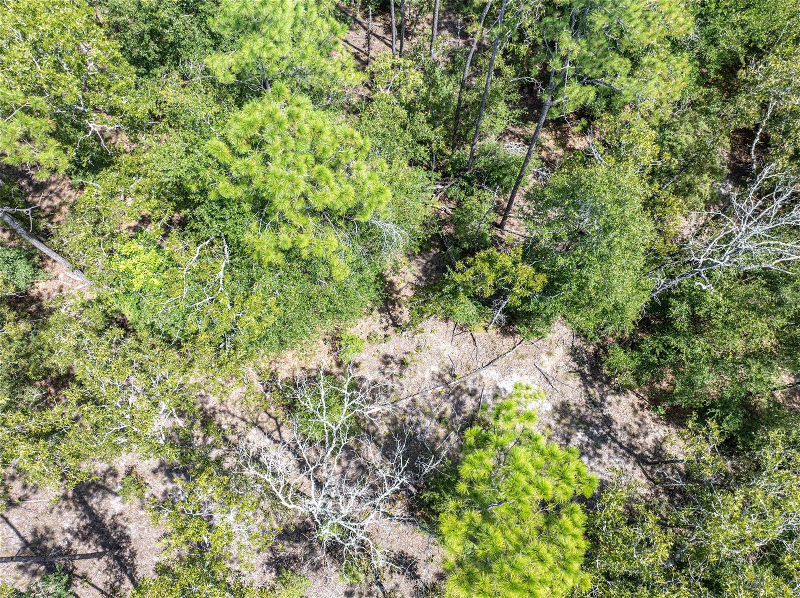 NOT IN SUBDIVISION - Residential