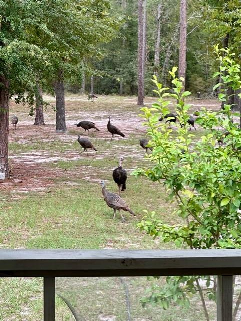 NOT IN SUBDIVISION - Residential