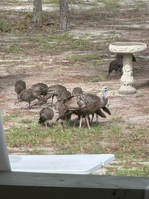 NOT IN SUBDIVISION - Residential