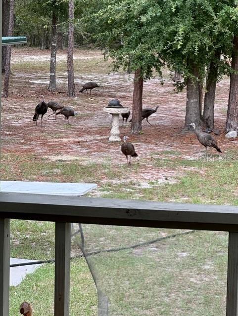 NOT IN SUBDIVISION - Residential