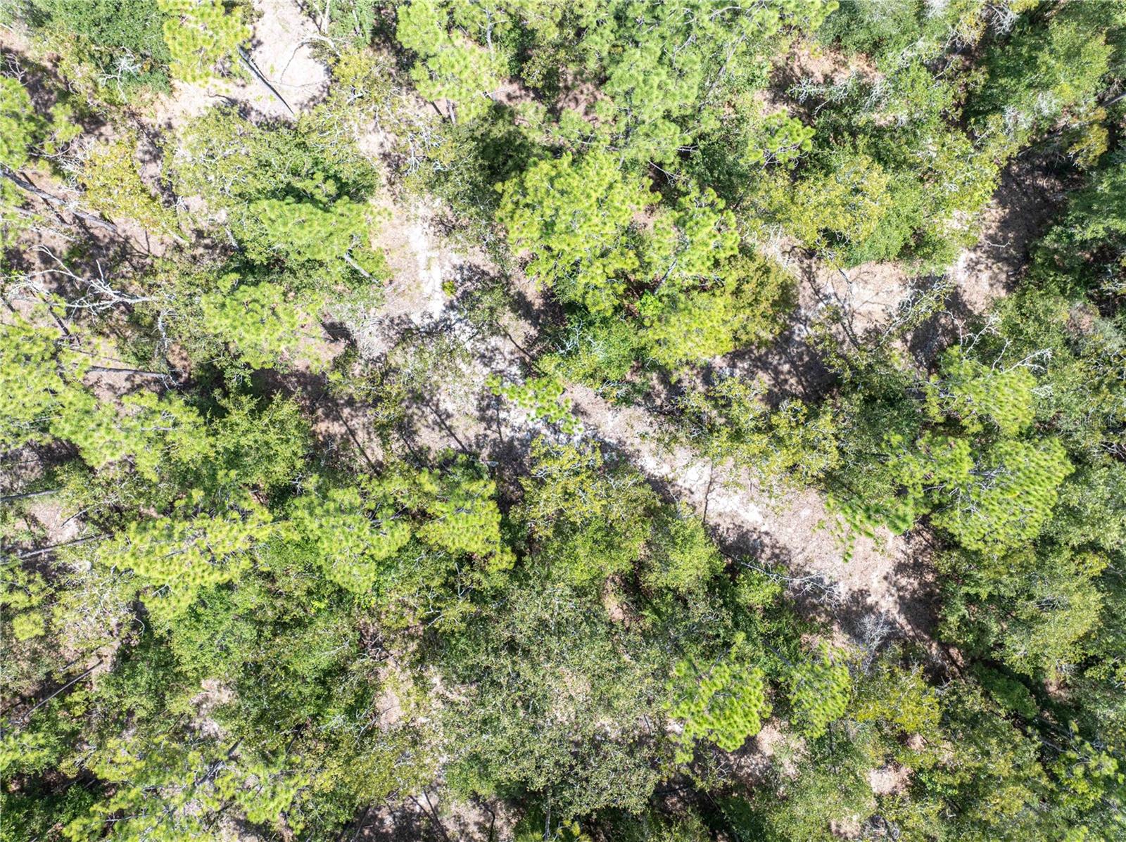 NOT IN SUBDIVISION - Residential