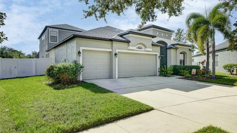 A home in RIVERVIEW