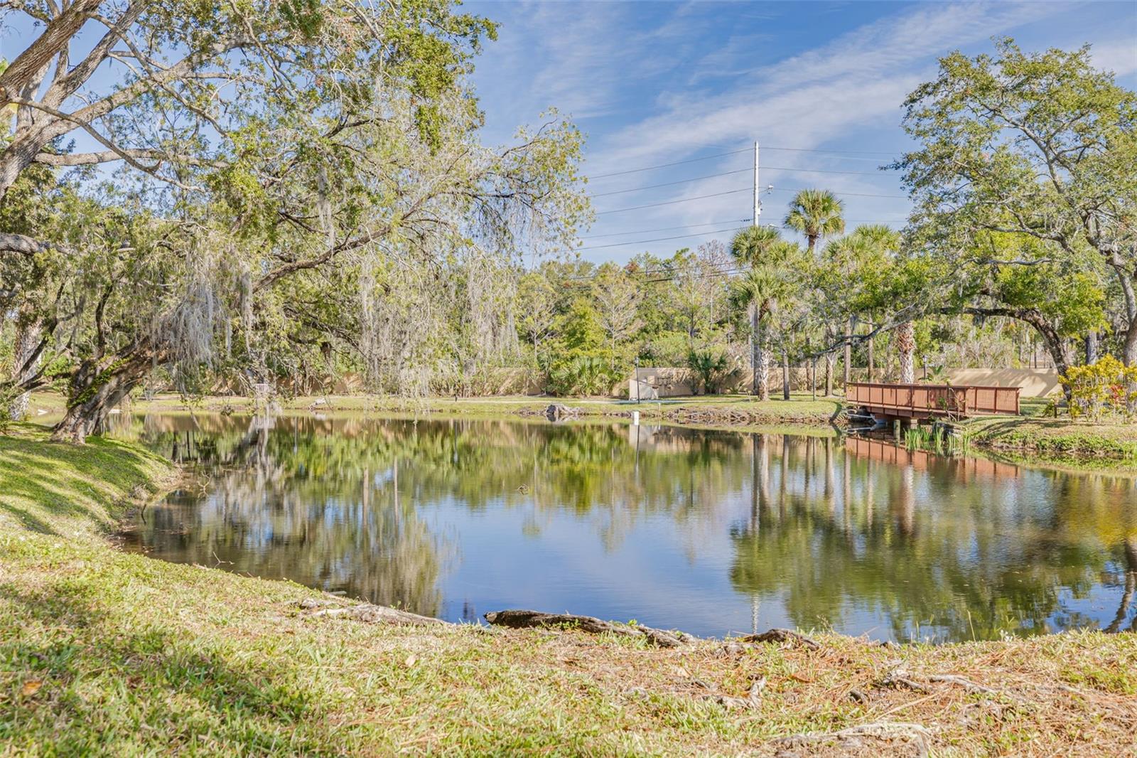 IMPERIAL PINES CONDO - Residential