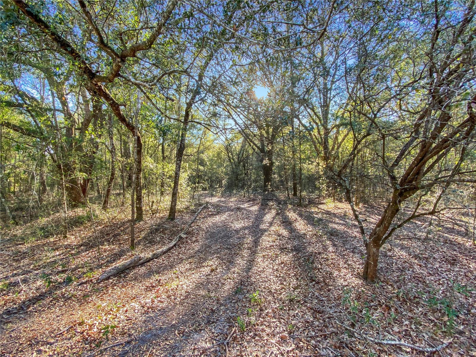 ARROW HEAD ACRES SUB - Land