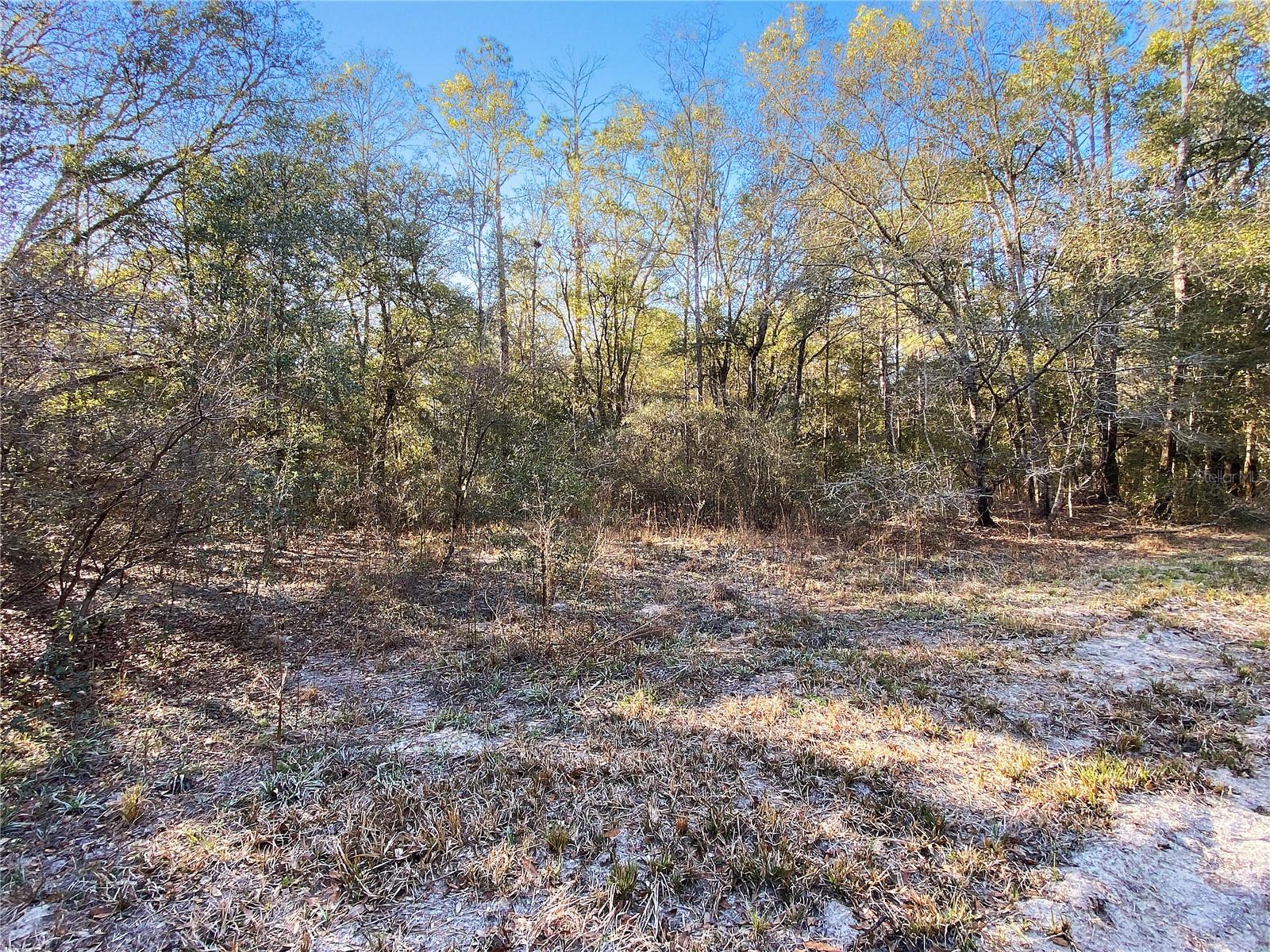 ARROW HEAD ACRES SUB - Land