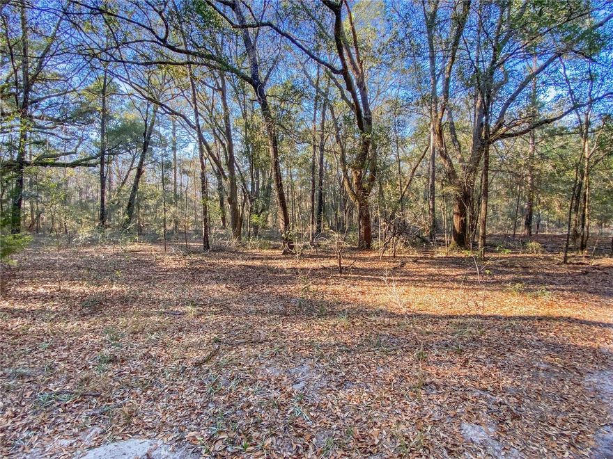 If you’re looking for space, privacy, and a connection to nature, this 7-acre Fort White property delivers. The land features a mix of upland areas suitable for building along with natural wetlands that provide scenic views and attract local wildlife. The preserved wetland area creates a beautiful natural backdrop and ensures a sense of privacy that’s hard to find. Whether you’re planning a future homesite or simply want to invest in peaceful North Florida land, this property offers a unique opportunity. Enjoy the peace of rural living while staying conveniently close to Lake City, Gainesville, and the sparkling springs of the Santa Fe and Ichetucknee Rivers. Feel free to drive by and walk the property anytime!

No HOA! Electric available nearby; property will require a well and septic. Buyer to verify all utilities.