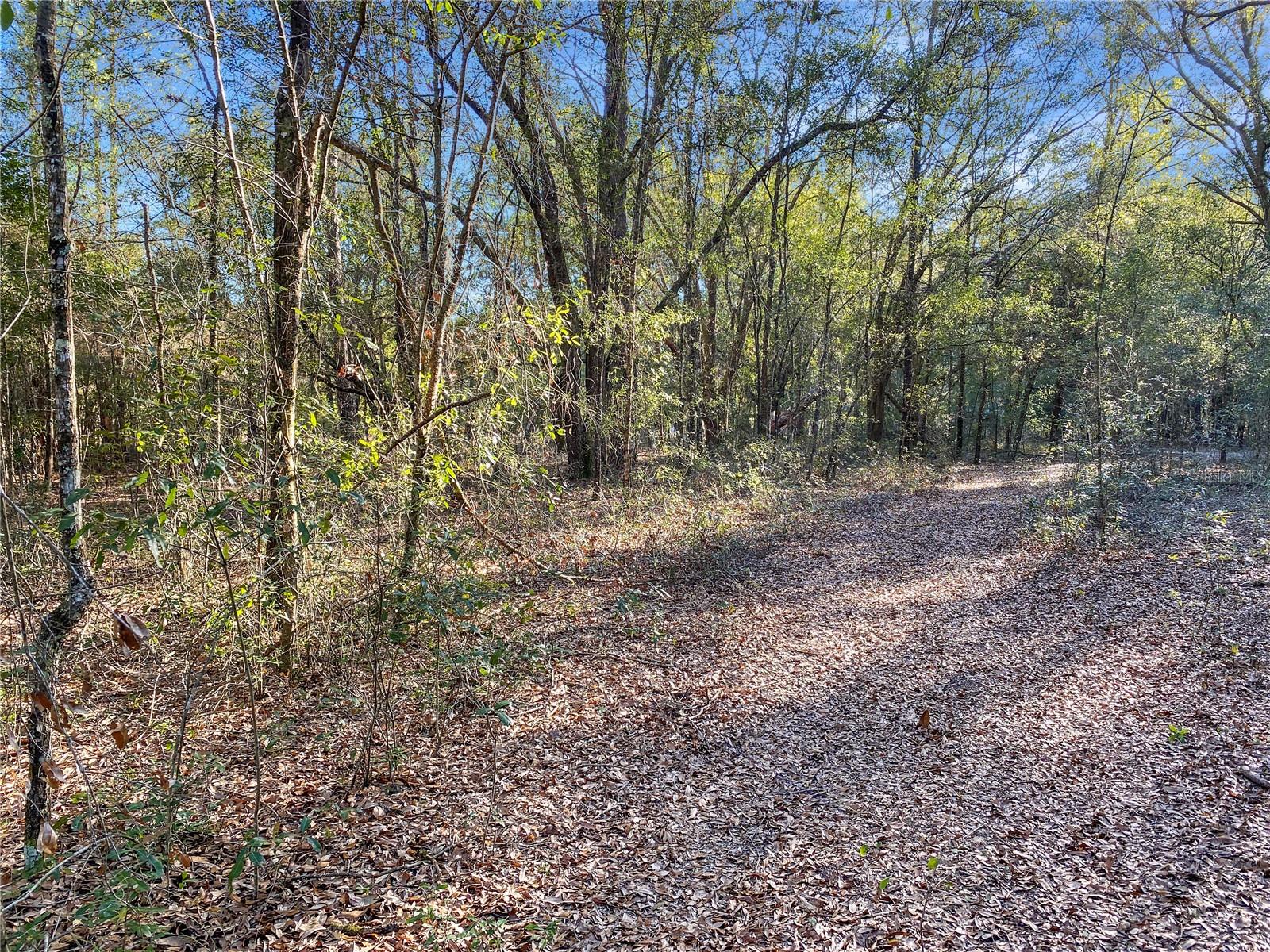 ARROW HEAD ACRES SUB - Land