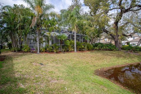 A home in TAMPA