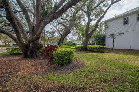 A home in TAMPA