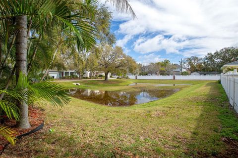 A home in TAMPA