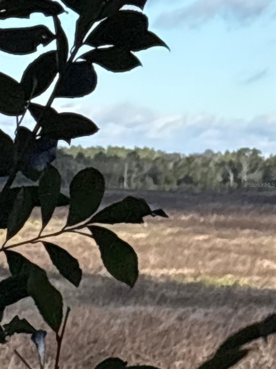 RAINBOW LAKES ESTATE - Residential