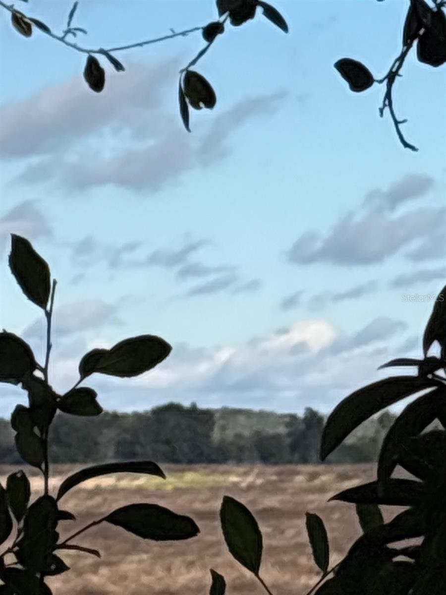 RAINBOW LAKES ESTATE - Residential