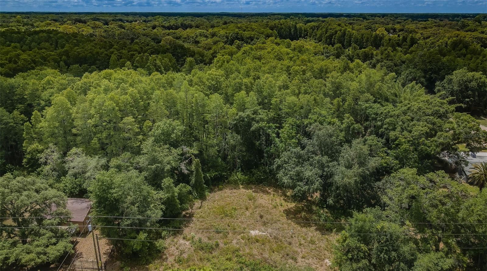 Beautiful lot to build your dream home with over one and a half acres of land in Golden Acres. Partially cleared. No HOA Fees or CDD fees. No deed restrictions. Survey is available. Well and septic would be needed and electric is available close. Horse farm across the street. Paved road.