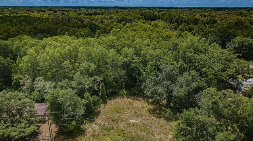 Beautiful lot to build your dream home with over one and a half acres of land in Golden Acres.  Partially cleared.  No HOA Fees or CDD fees. No deed restrictions.  Survey is available.   Well and septic would be needed and electric is available close.  Horse farm across the street.   Paved road.